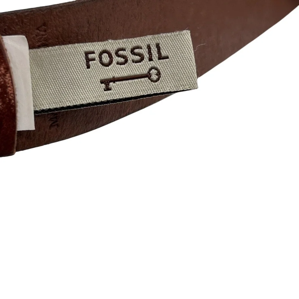 Fossil color brown